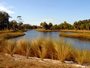 Clam Bayou